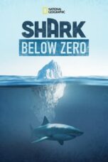Nonton Film Shark Below Zero (2023) Terbaru