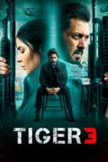 Nonton Film Tiger 3 (2023) Terbaru