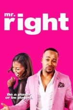 Nonton Film Mr. Right (2015) Terbaru